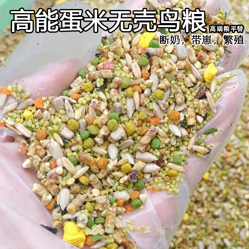 豆豆家萌宠鹦鹉粮食断奶带崽繁殖
