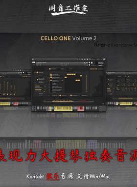 表现力大提琴独奏音源Insanity Samples Cello ONE v2音色kontakt