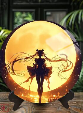 美少女战士水兵月剪影圆盘