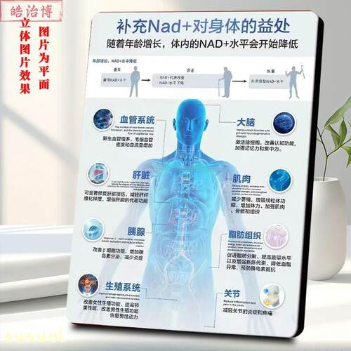 补充Nad+对人体的益处年轻人新型养生抗衰健康示意图桌面高清摆件