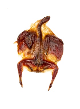 烤鹌鹑（狗狗）德国品质成年鹌鹑健康无添加纯肉无合成