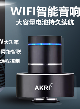 Adin/艾丁 S8BT共振音箱穿透型骨传导无线蓝牙低频炮家用音响正品