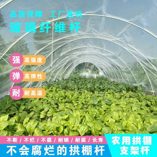 拱棚支架杆子小拱棚支架玻璃纤维杆蔬菜大棚架杆果树药材扶苗撑杆
