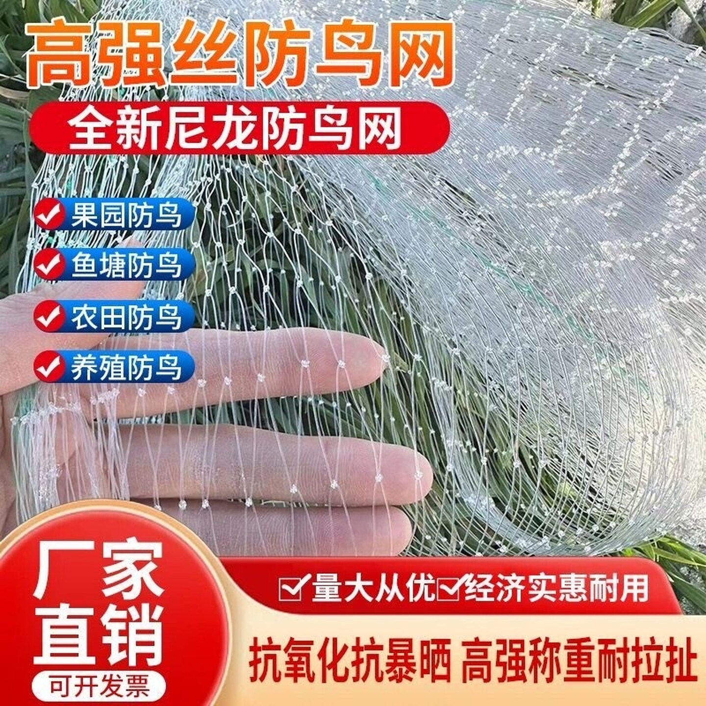 尼龙网梨树天网遮挡网樱桃防鸟网鱼线材质果树葡萄樱桃防鸟网加密