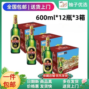 24瓶 经典 老珠江啤酒12度600ml 包邮 12瓶 2箱整箱玻璃瓶国产生啤