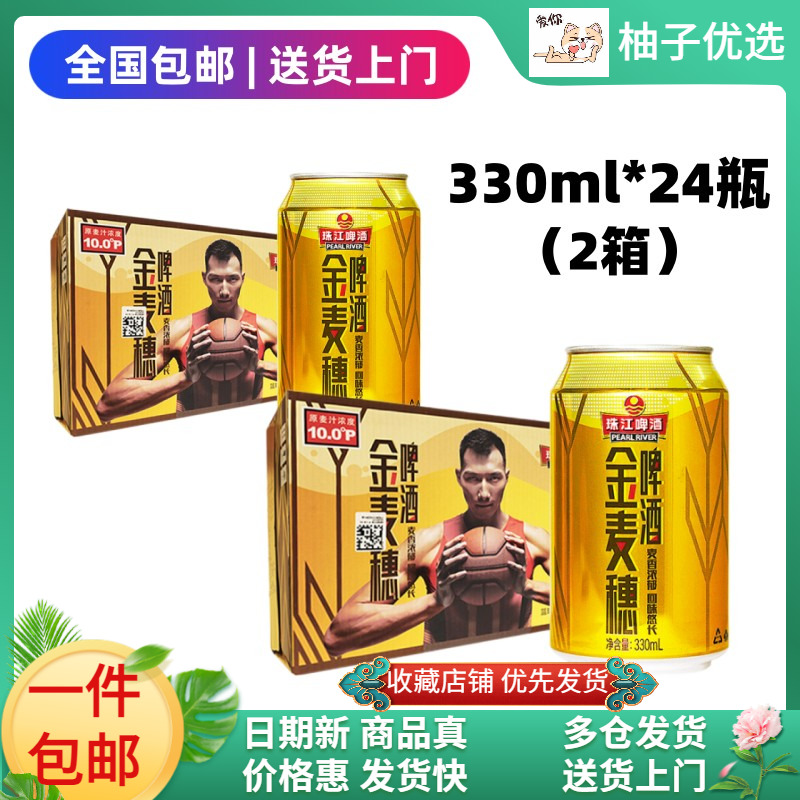 珠江金麦穗啤酒330ml*48瓶10°P