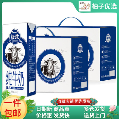 三元极致高品质纯牛奶250ml*24盒