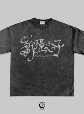 24SS 30 “新疆之子 5.0” 复刻版 水洗做旧 T 恤