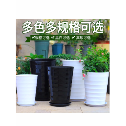特大号螺纹散尾葵仿陶瓷果树花盆大型植物高筒圆形加厚白色塑料盆