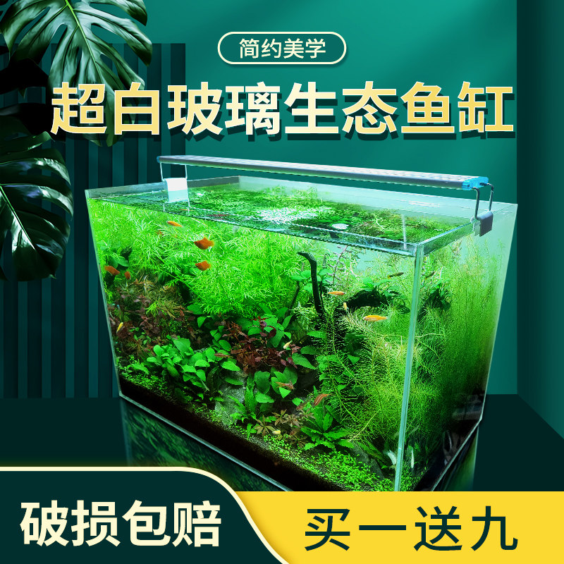 超白玻璃鱼缸长方形小型家用客厅桌面水族箱生态草缸热带鱼金鱼缸