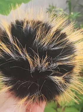 新品仿貉子毛球  黑底中白橙色毛尖 皮筋扣款