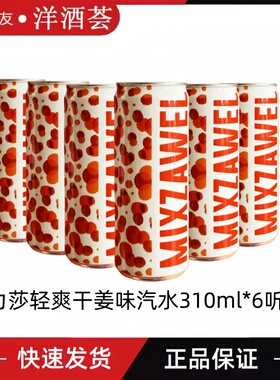 力莎清爽干姜味汽水 MIXZAWEL Ginger ale 310ml  调鸡尾酒饮料