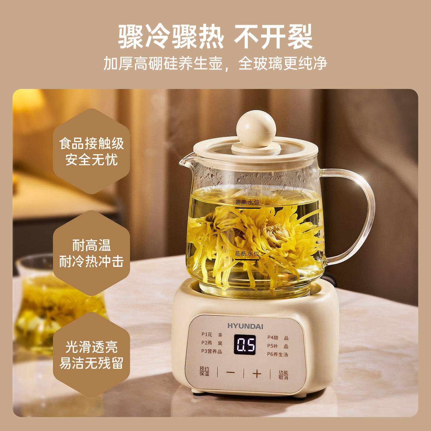 韩国养生壶办公室小型全自动加厚玻璃保温家用多功能煮茶烧水壶