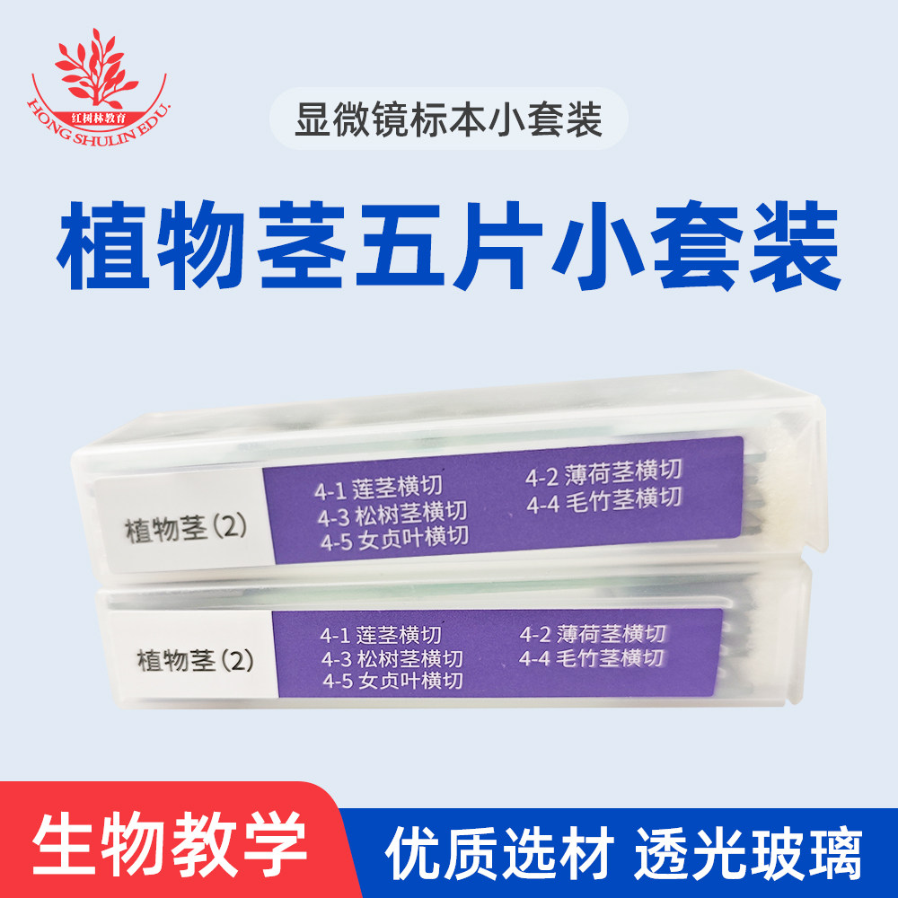 植物茎五片小套装松树茎横切女贞叶横切生物教学用显微镜标本切片