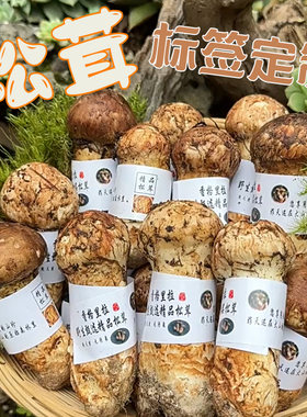 松茸腰封贴纸定制设计牛肝菌青冈菌标签鸡枞菌红菇竹荪虫草不干胶