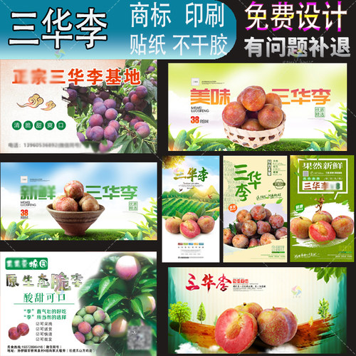 定制美李子打包盒贴纸樱桃蓝莓LOGO商标杨梅不干胶圣女果标签印刷