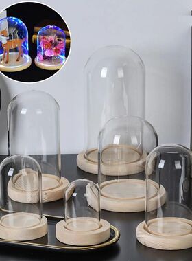 Glass Cloche Jar Display Stand ver Terrarium Bottle with Woo