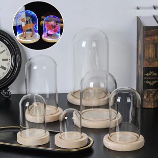 Glass Cloche Jar Display Stand ver Terrarium Bottle with Woo