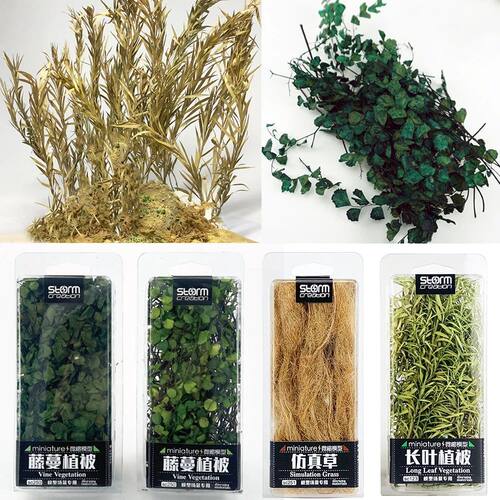 1 Box Scene Model Micro Landscape DIY Miniature Plant Creepe