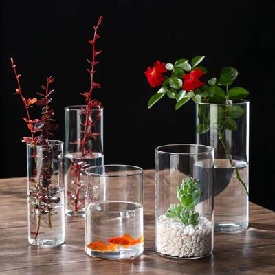 Glass Cylinder Vases Glass Hydroponic Vase Transparent Glass