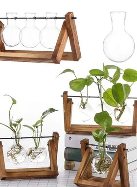 Hydroponic Plant Vases Glass Vase Vintage Bonsai Flower Pot