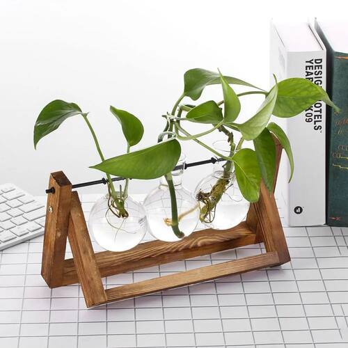 Hydroponic Plant Vases Terrarium Tabletop Wooden Frame Glass