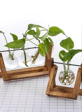 Hydroponic Plant Vases Glass Vase Vintage Bonsai Flower Pot