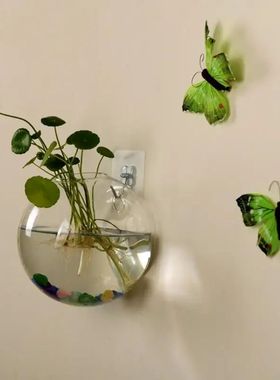 Glass Vase Wall Hanging Hydroponic Terrarium Fish Tanks Pott