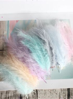 Natural Turkey Feathers Plumes 4-6 Inches10-15cm Multicolor