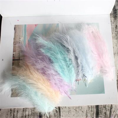 Natural Turkey Feathers Plumes 4-6 Inches10-15cm Multicolor