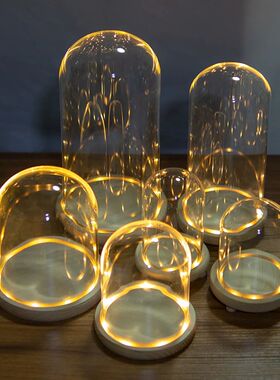 Glass Dome Wooden Base With LED Light Birthday Gift Bedroom