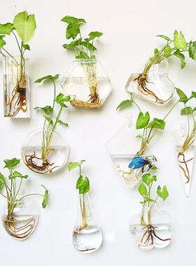 Wall Hanging Glass Vase Terrarium Hydroponic Plant Vases Wal