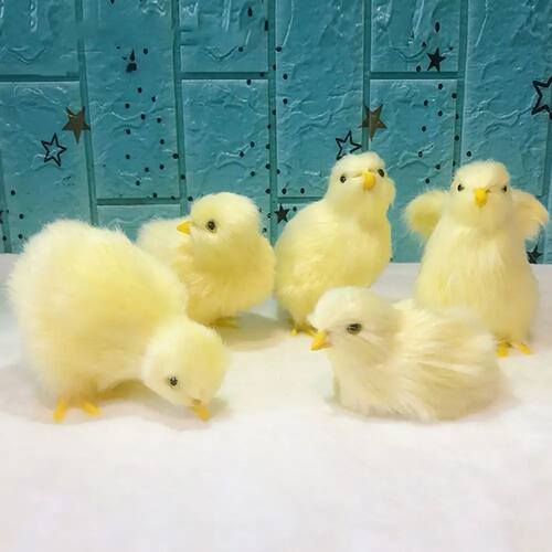 Simulation Chick Plush Toy Children Cognition Chicken Model