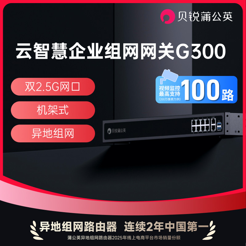 贝锐蒲公英双WAN口企业级路由器G300异地组网内网穿透NAS千兆2.5G机架式10口多网口USB调试工业办公机房维护