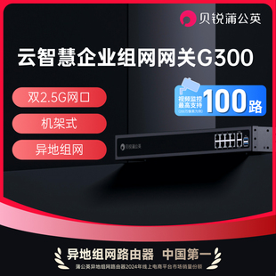贝锐蒲公英双WAN口企业级路由器G300异地组网内网穿透NAS千兆2.5G机架式 10口多网口USB调试工业办公机房维护