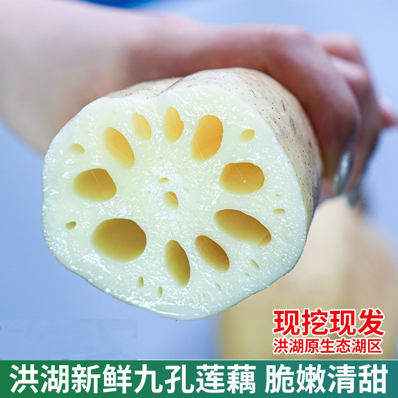 2026洪湖新花藕新鲜洪湖脆藕湖北水果新花藕4斤生吃口感脆爽现挖