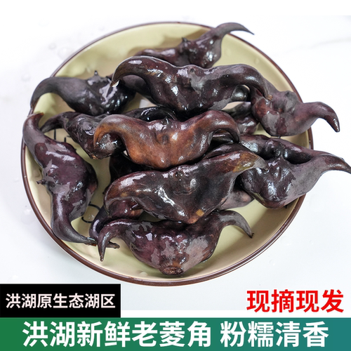 洪湖菱角新鲜生牛角果老黑绫角蔬菜现摘现发湖北特产黑凌角水栗子