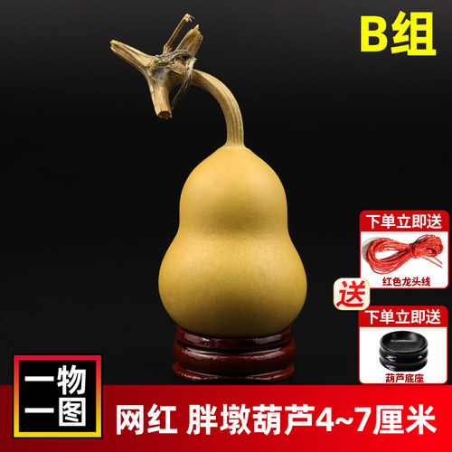 一物一图胖墩美国手捻天然葫芦