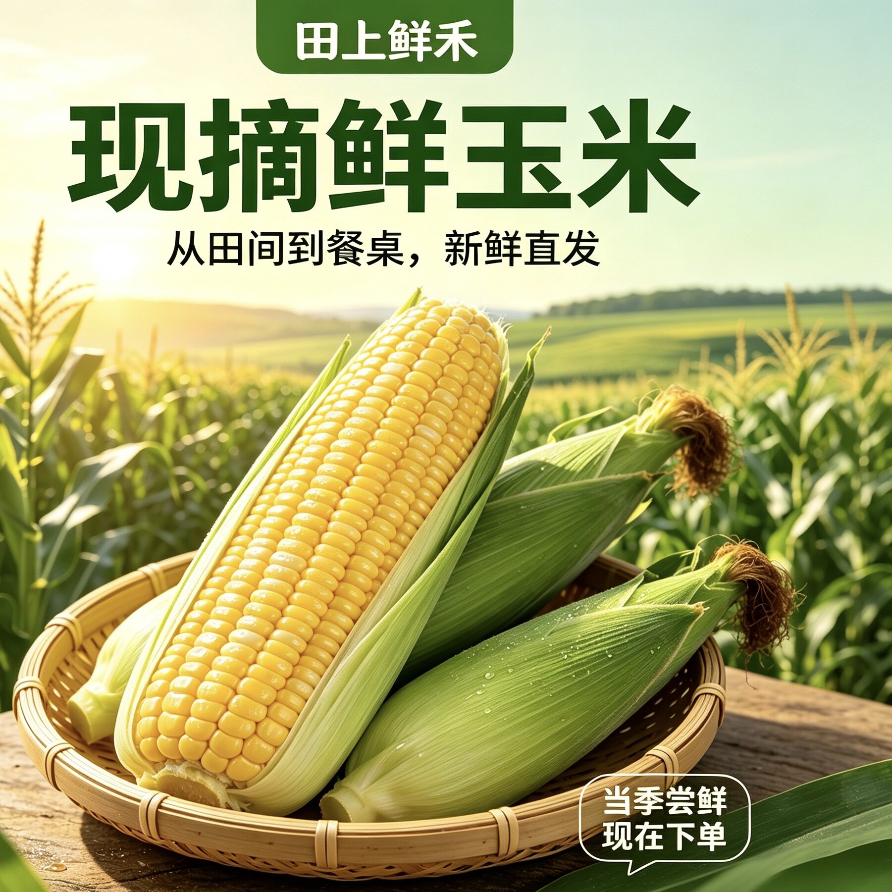 新鲜甜糯玉米现摘现发 当季带皮苞谷 农家鲜采黄玉米 当季蔬菜