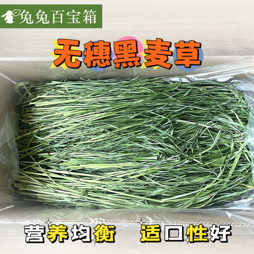 小宠辅草烘干无穗黑麦草