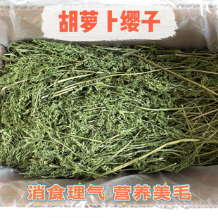 烘干胡萝卜缨子新草兔子干草辅草零食草净重500g