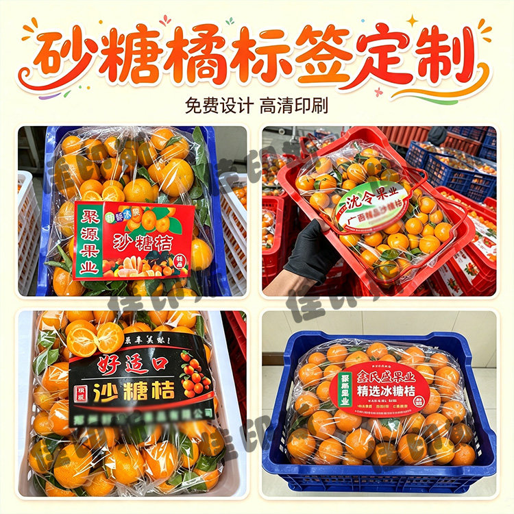 定制砂糖橘不干胶标签柑橘粑粑柑商标沃柑蜜桔果冻橙脐橙贴纸设计图片