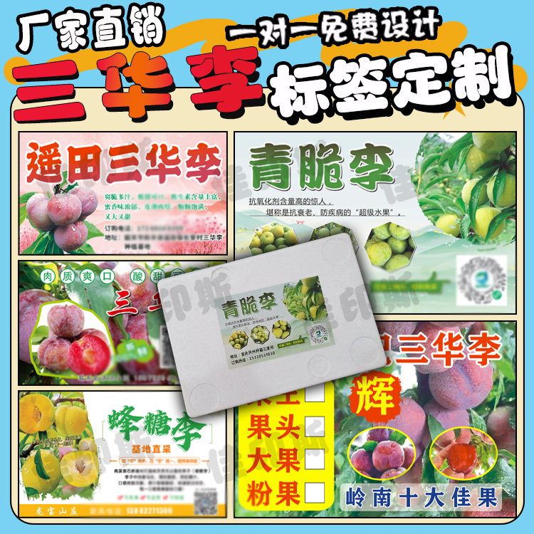 定制钱排三华李不干胶标签青红脆李蜂糖李商标黑布林水果贴纸设计