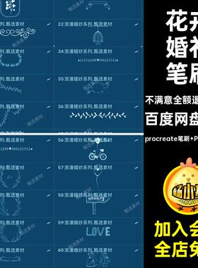 清新婚礼笔刷procreate笔刷 PS笔刷（双）花纹60款请柬花卉ps边框