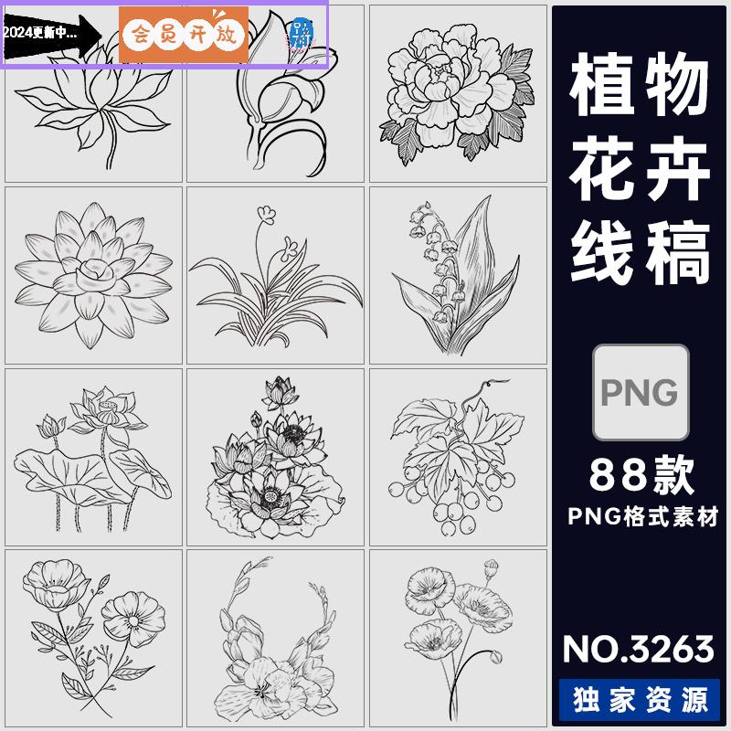 手绘黑白临摹速写植物花卉线稿简笔画素描手稿打印涂色png素材