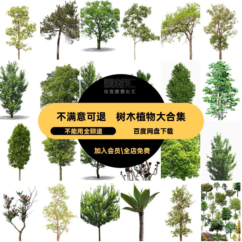 乔木树木植物常绿大ps素材PNG小乔后期合集园林景观抠PSD免效果图