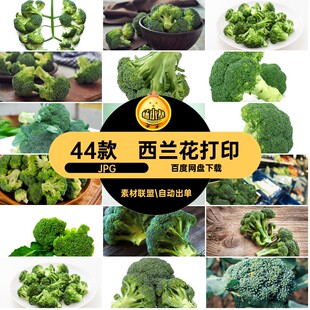 绿菜花美工JPG打印高清设计菜谱喷绘西兰花图片美食素材菜品4