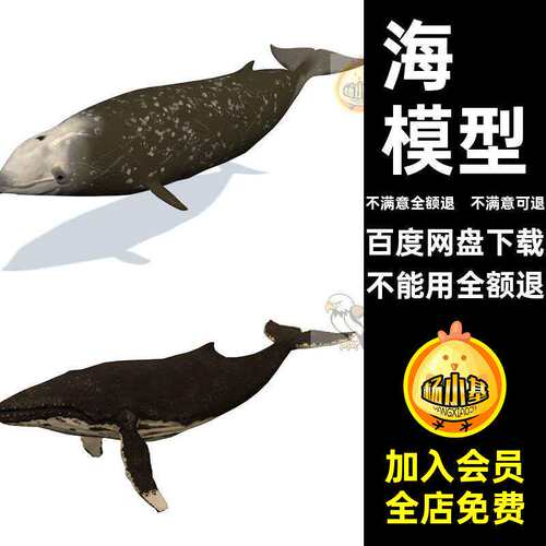 鲸鱼模型动作素材只大型立体简单鲨鱼海豚C带动物海洋海豚鲸鱼