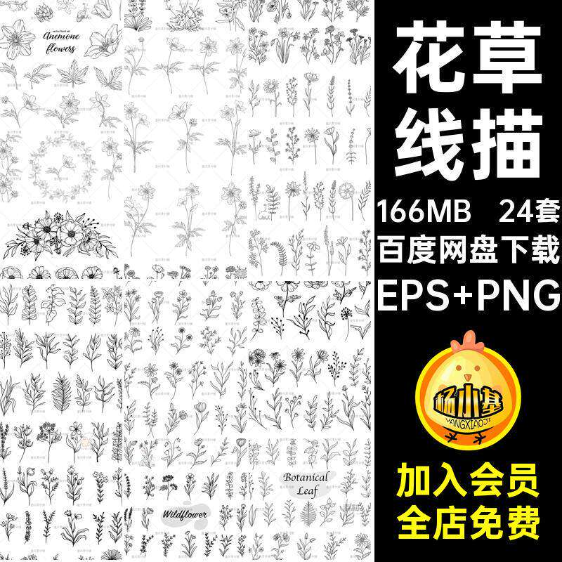 花卉矢量EPS PNG笔画24套素描稿线图白描临摹植物图案花 - 实物图