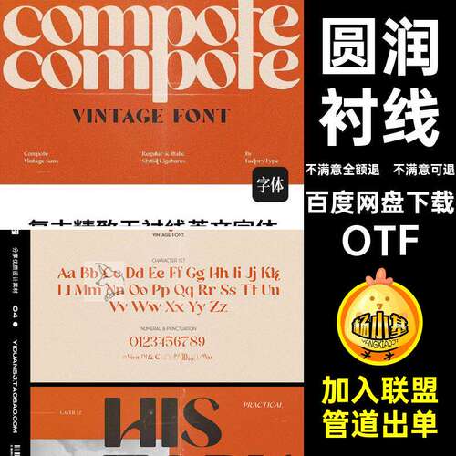英文衬线70OTF感时髦无圆润字体无psAI排版字体年代安装
